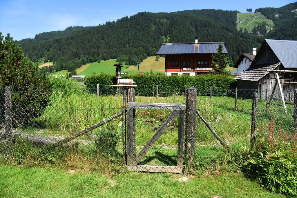 Fruhstuckspension Pachler Gosau Buitenkant foto