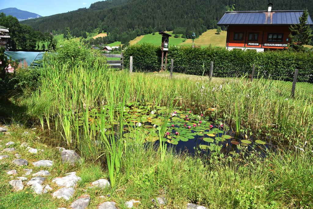 Fruhstuckspension Pachler Gosau Buitenkant foto