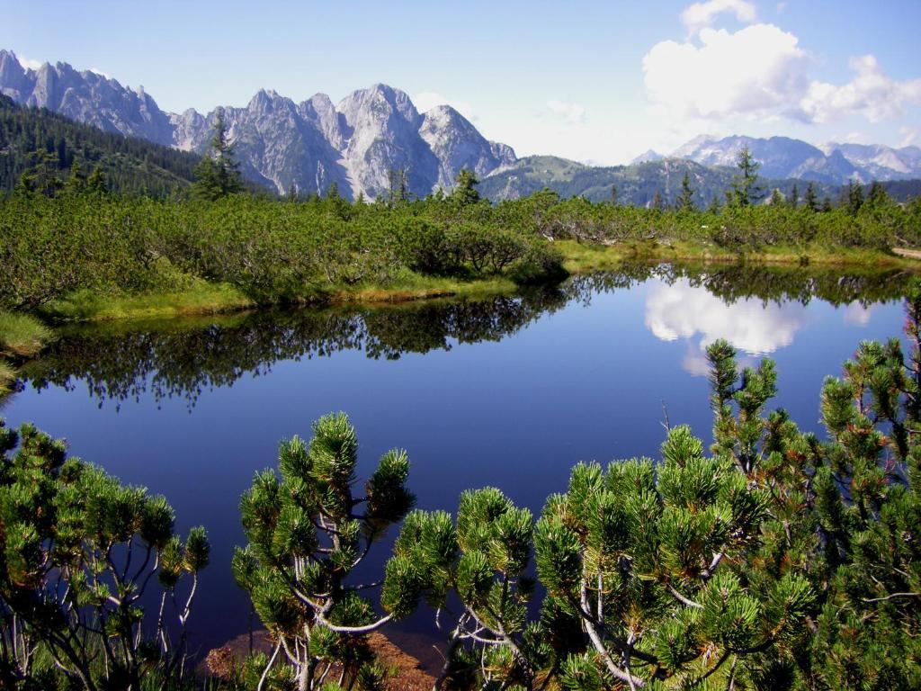 Fruhstuckspension Pachler Gosau Buitenkant foto